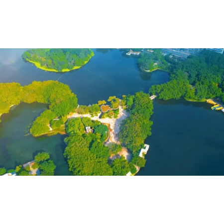 {$productinfo->name}