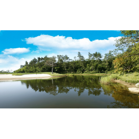 {$productinfo->name}